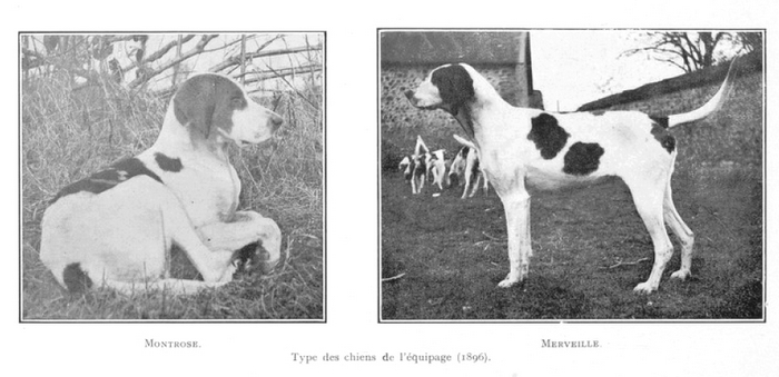 Tiré de l'ouvrage L'Equipage du marquis de Chambray par Maurice de Gasté (1926) - 6